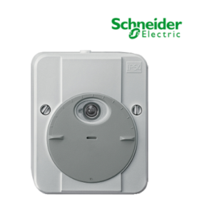 Cảm biến ánh sáng gắn tường MTN544829 Schneider