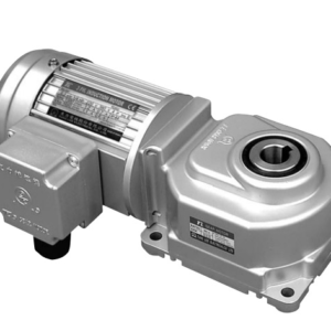 Mô Tơ Giảm Tốc Tunglee TL4060