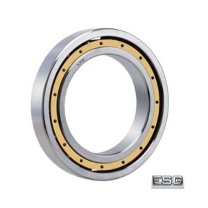 VÒNG BI L314553 - ESG