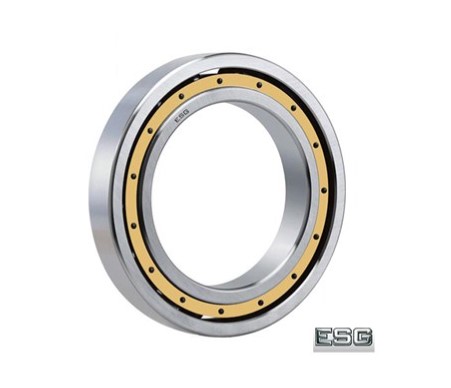 VÒNG BI R 313824 - ESG