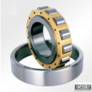 VÒNG BI 315189A - ESG